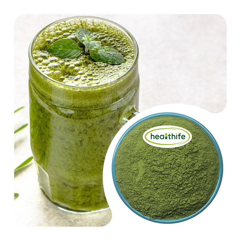 Barley Grass Powder Manufacturer - Organic Pure Green Juice Powder