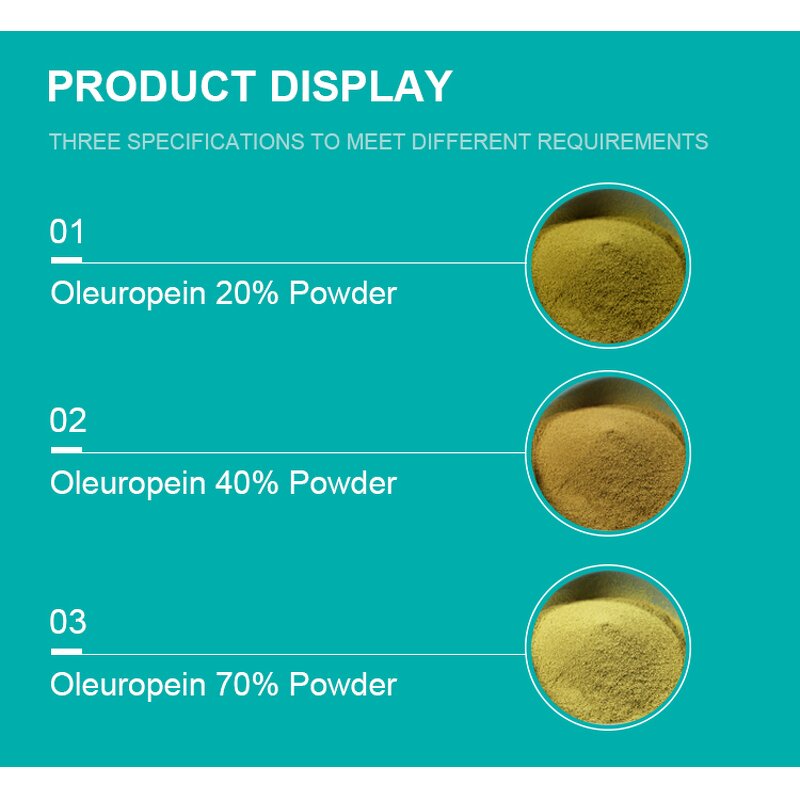 Olive Leaf Extract Manufacturer - Food Grade 10%-80% Oleuropein