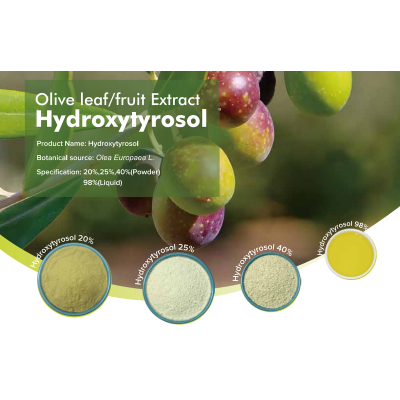 Olive Leaf Extract Manufacturer - Food Grade 5%-40% Hydroxytyrosol