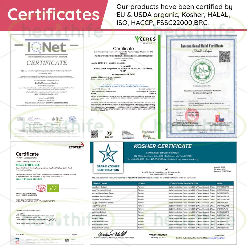 Wheat Grass Powder Manufacturer - EU & NOP Certified Organic