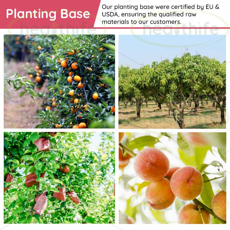 Apple Polyphenol Extract Powder Manufacturer - 40% 70% Apple Extract