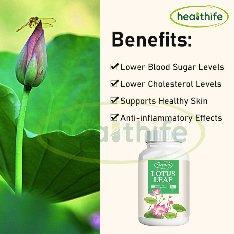 Lotus Leaf Capsule Manufacturer - 500mg/60caps Nuciferine Extract