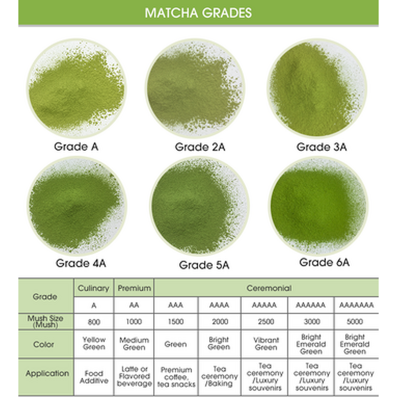 Matcha Tea Powder Manufacturer - Ceremonial Grade 5A Organic & OEM