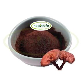 Reishi Mushroom Extract Manufacturer - Shell Broken Red Reishi Spore Powder