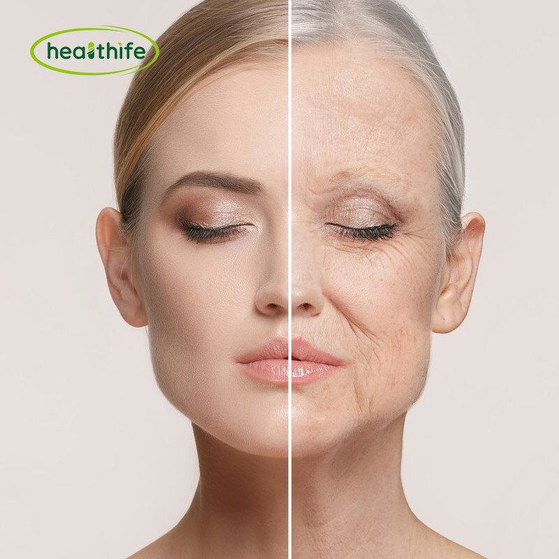 Liposomal Fisetin Powder Manufacturer - HPLC 50% Anti-Aging Supplement