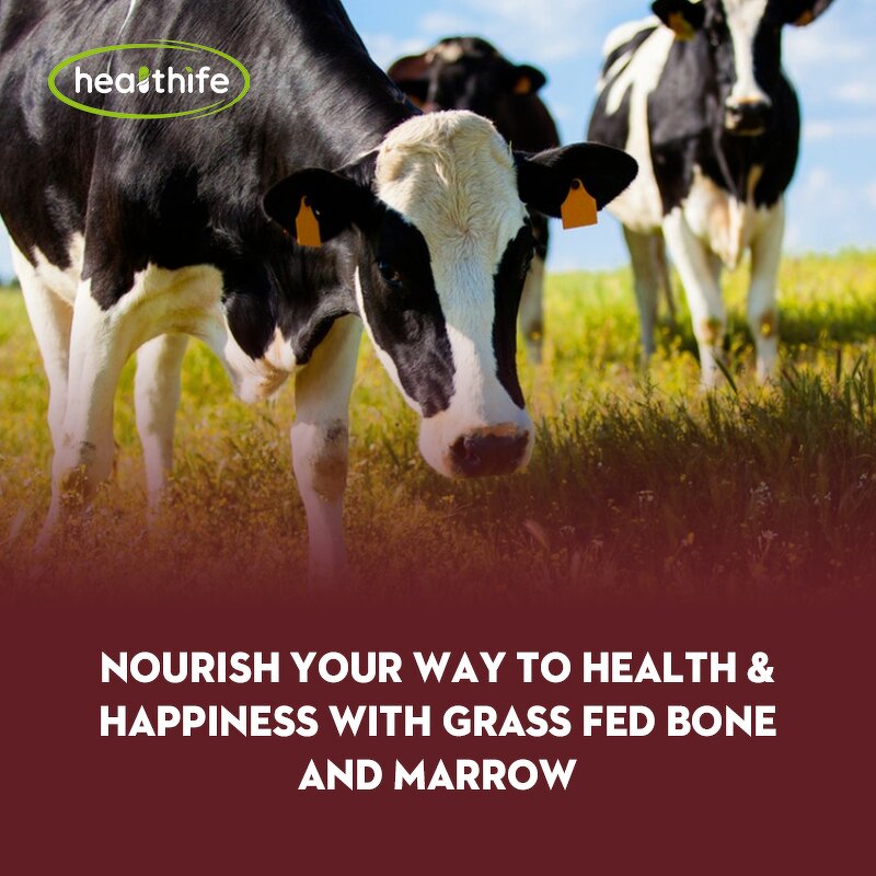 Beef Bone Marrow Capsules Manufacturer - Grass Fed Dietary Supplement