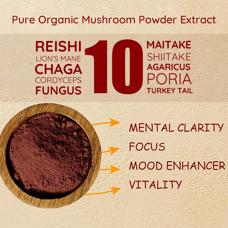 Mushroom Extract Powder Manufacturer - Organic 10 in 1 Complex