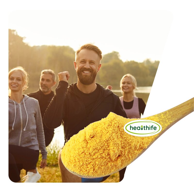 Coenzyme Q10 Powder Manufacturer - 50% Liposomal CoQ10 Supplement