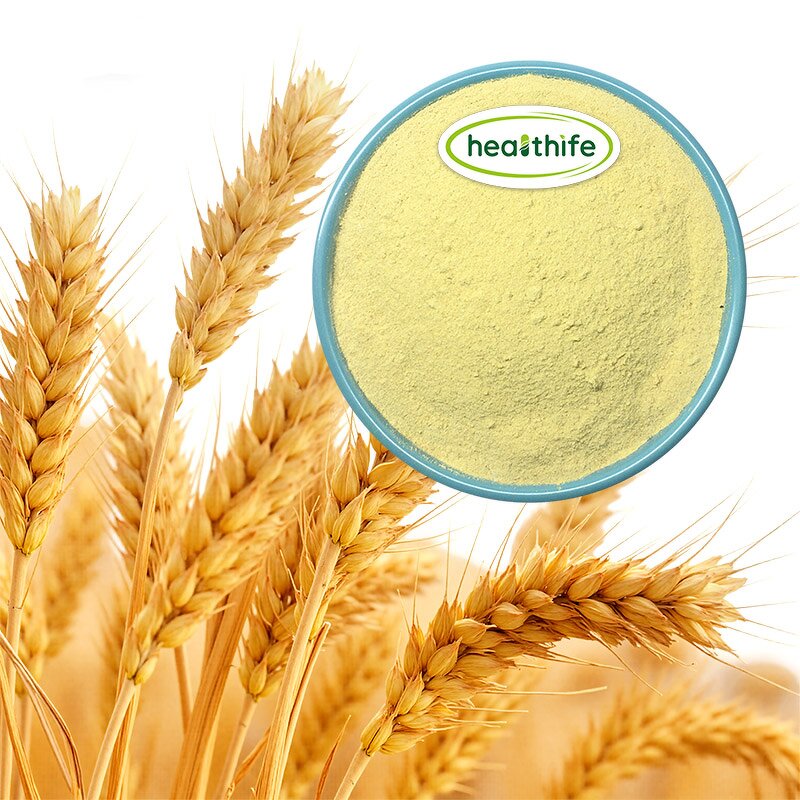 Wheat Germ Extract Powder Manufacturer - 0.2% Spermidine & Factory Direct