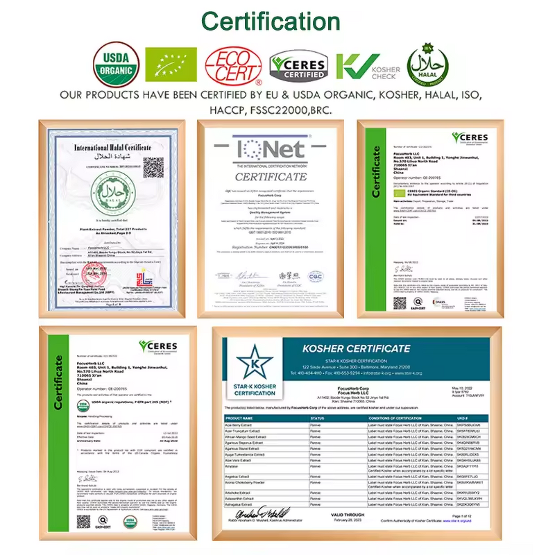 Niacinamide Powder Manufacturer - CAS 98-92-0 99% Vitamin B3