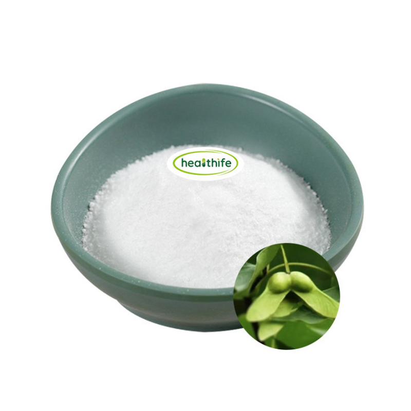 Acer Truncatum Extract Manufacturer - 90% Nervonic Acid Brain Supplement