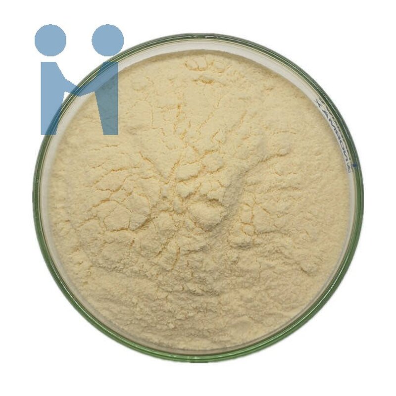 Lactobacillus Fermentium Powder - Hot Sale Probiotic Supplement