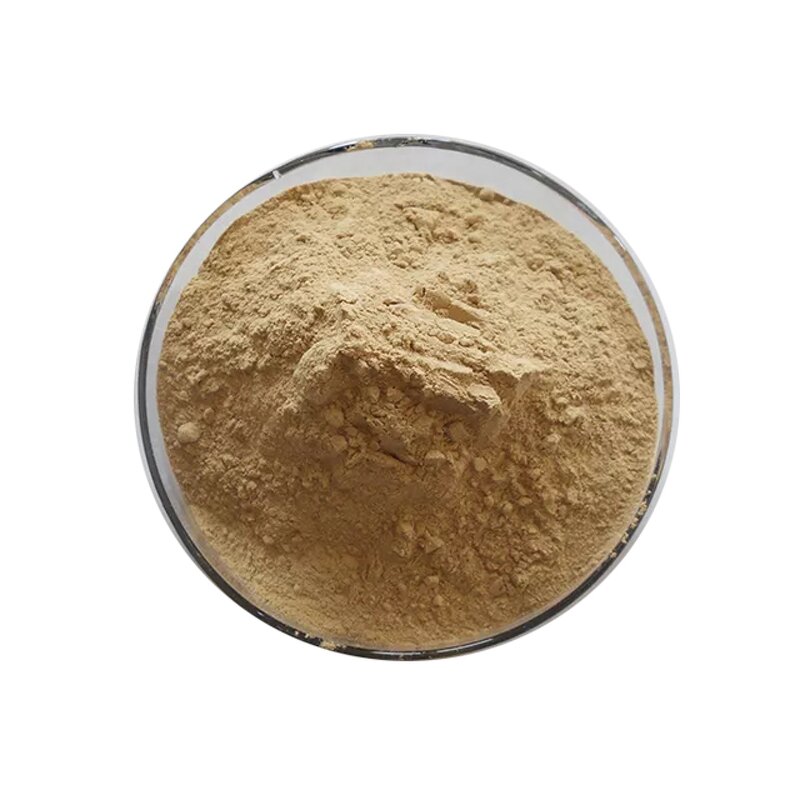 Ginsenoside Powder - Suppliers 80% 20s Rg1 Rg2 Rg3 98% Rh2 Rb1 Re Extract