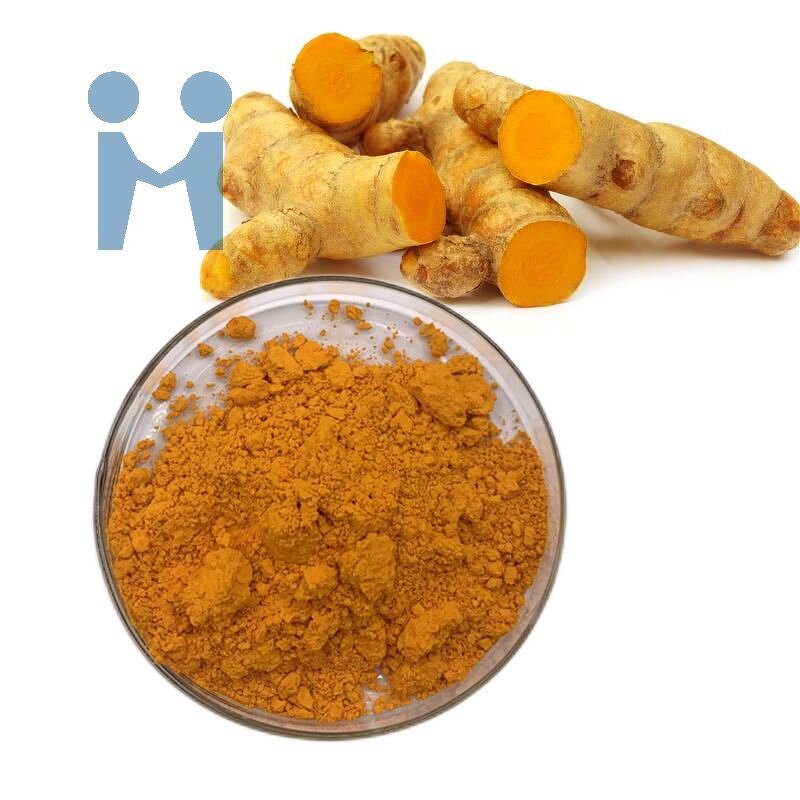 Turmeric Curcumin Powder - Factory Price Bulk Natural Curcuma Extract