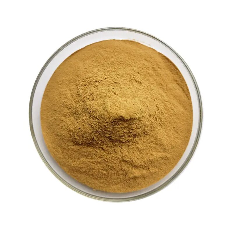 L-Theanine Powder - Natural Food Grade 99% Green Tea Extract Supplement