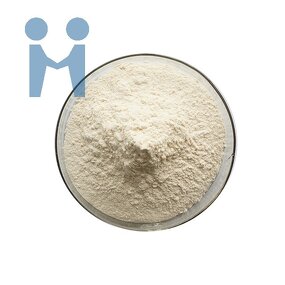 Lactobacillus Plantarum Powder - Factory Supply Probiotic Supplement Price