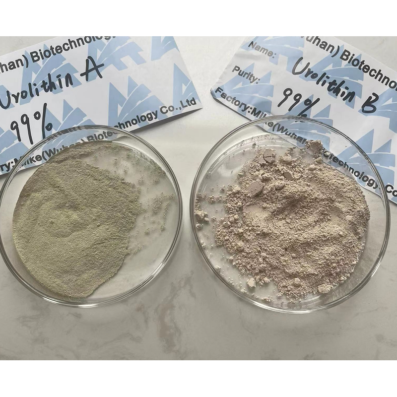 Urolithin a Powder - Factory Direct Bulk Price CAS NO 1143-70-0 Supplement