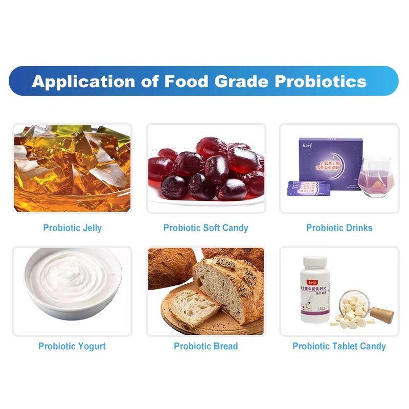 Lactobacillus Fermentium Powder - Hot Sale Probiotic Supplement