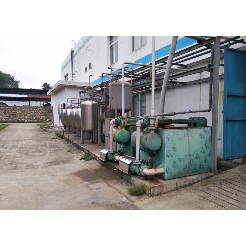 L-Theanine Powder - Natural Food Grade 99% Green Tea Extract Supplement