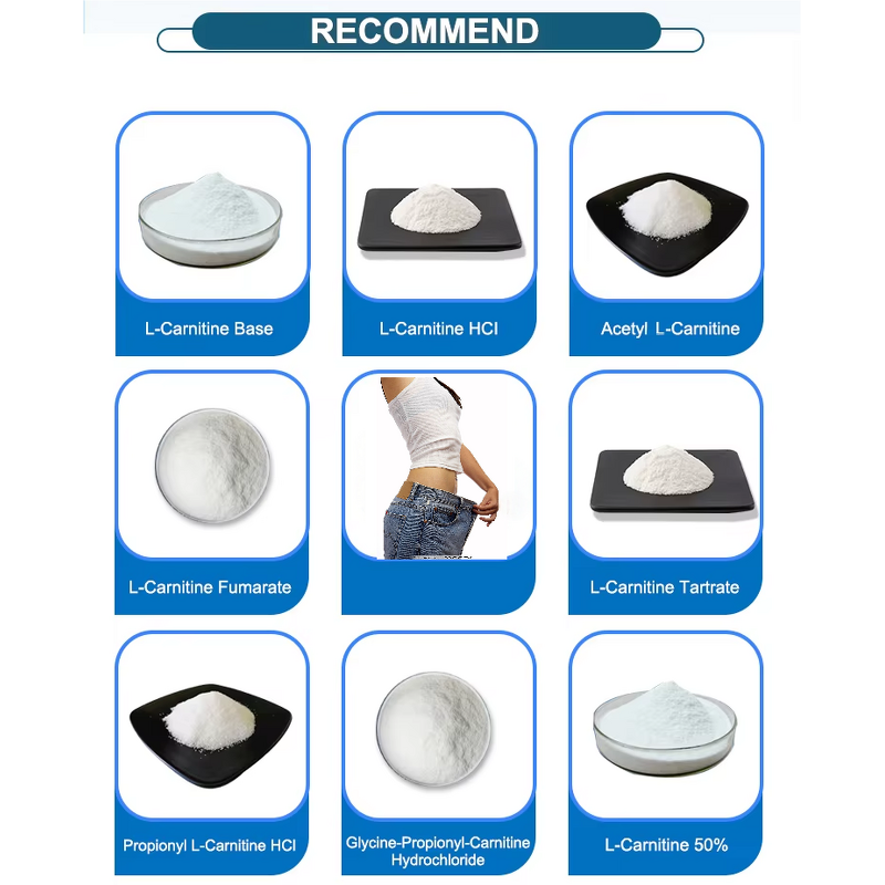 Acetyl L-carnitine Powder - Weight Loss Food Supplement ALCAR Raw Material