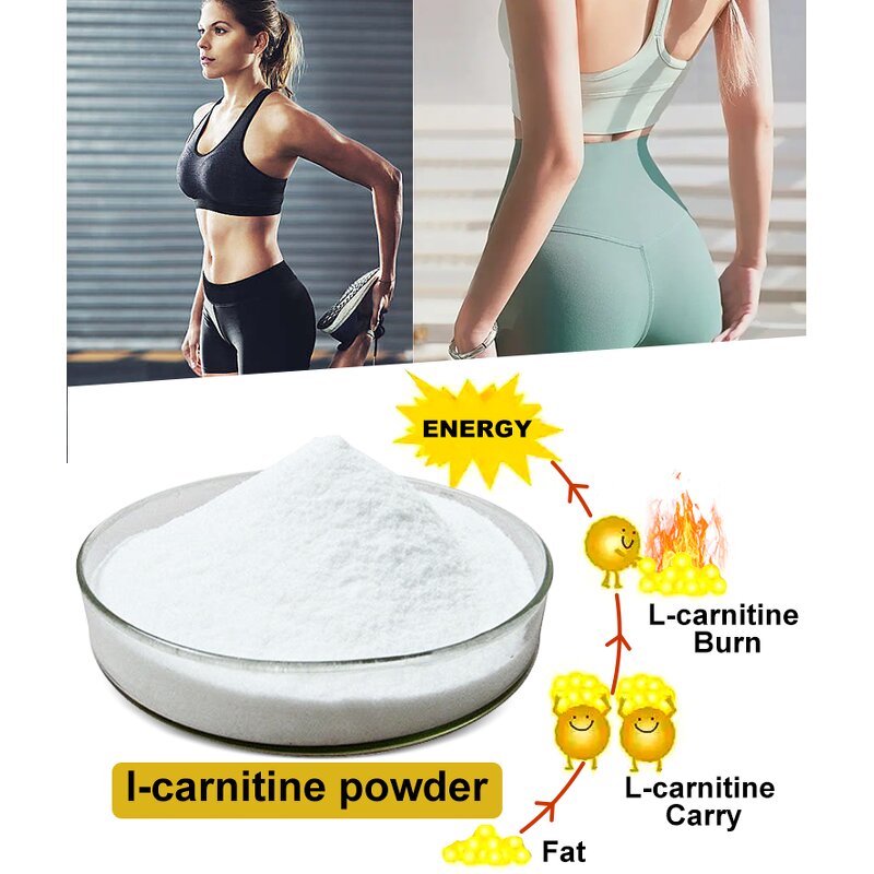 L-Carnitine HCL Powder - High Purity 99% Weight Loss Supplement