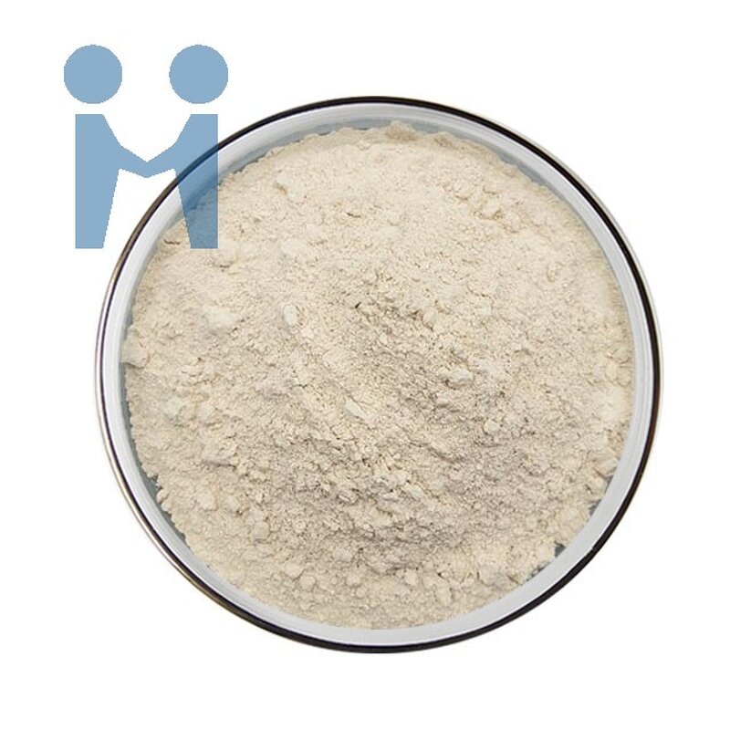 Lactobacillus Plantarum Powder - Factory Supply Probiotic Supplement Price