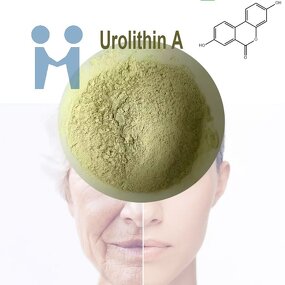 Urolithin a Powder - Factory Direct Bulk Price CAS NO 1143-70-0 Supplement