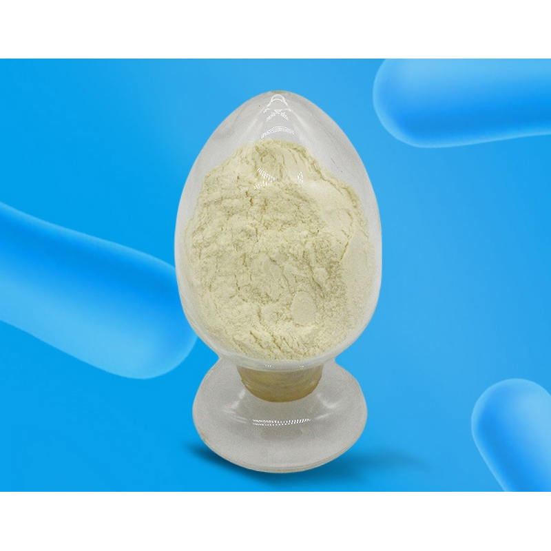 Lactobacillus Fermentium Powder - Hot Sale Probiotic Supplement