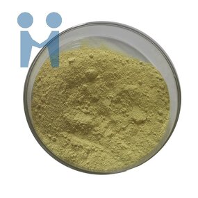 Fisetin Powder - High Quality Bulk Rhus Succedanea L Extract 98% 99%