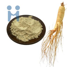 Ginsenoside Powder - Top Quality 98% Rg1 Rg3 Rb1 Ginseng Extract