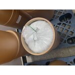 Nutrition Supplements