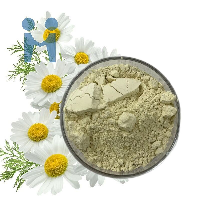 Apigenin Powder - Bulk Natural Celery Chamomile Extract 98% Supplement