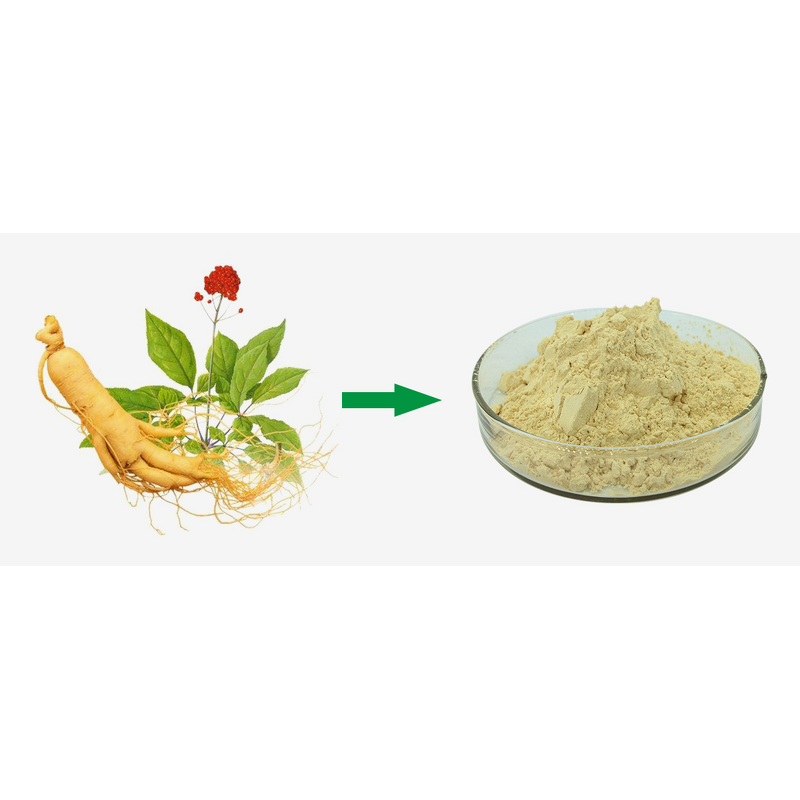 Ginsenoside Powder - Top Quality 98% Rg1 Rg3 Rb1 Ginseng Extract