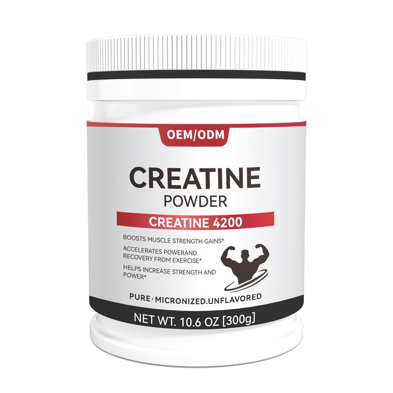 Creatine Monohydrate Powder Manufacturer - Micronized High Quality