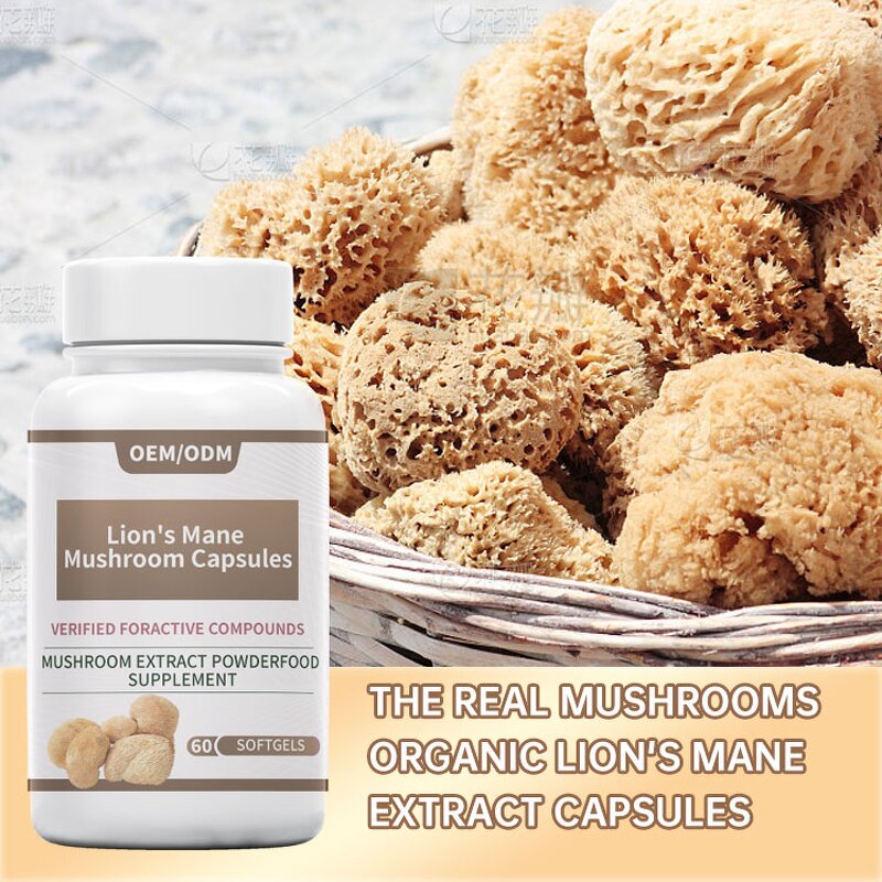 Lion's Mane Capsule Manufacturer - Organic Extract Dietary Herbal Supplement & OEM