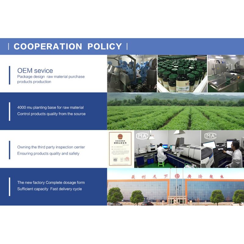 Vitamin D K2 Supplements Manufacturer - for Seniors Bone Density Joint Health