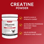 OEM/ODM Powder