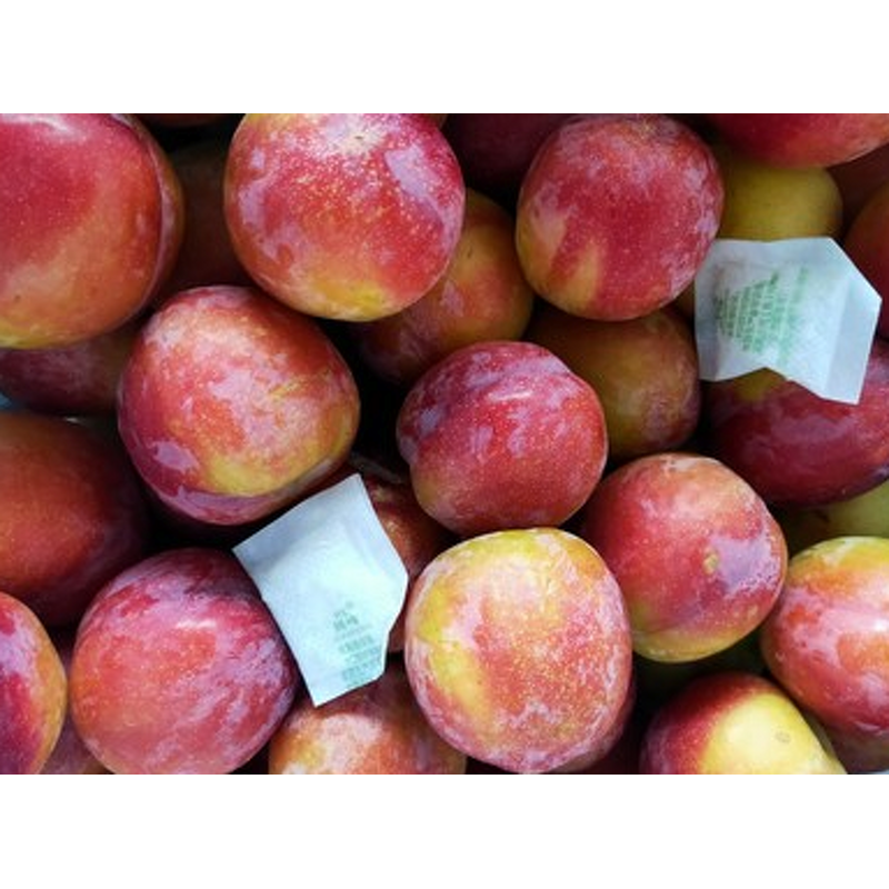 Ethephon Manufacturer - 20% GR Plant Growth Regulator for Fruit Ripening