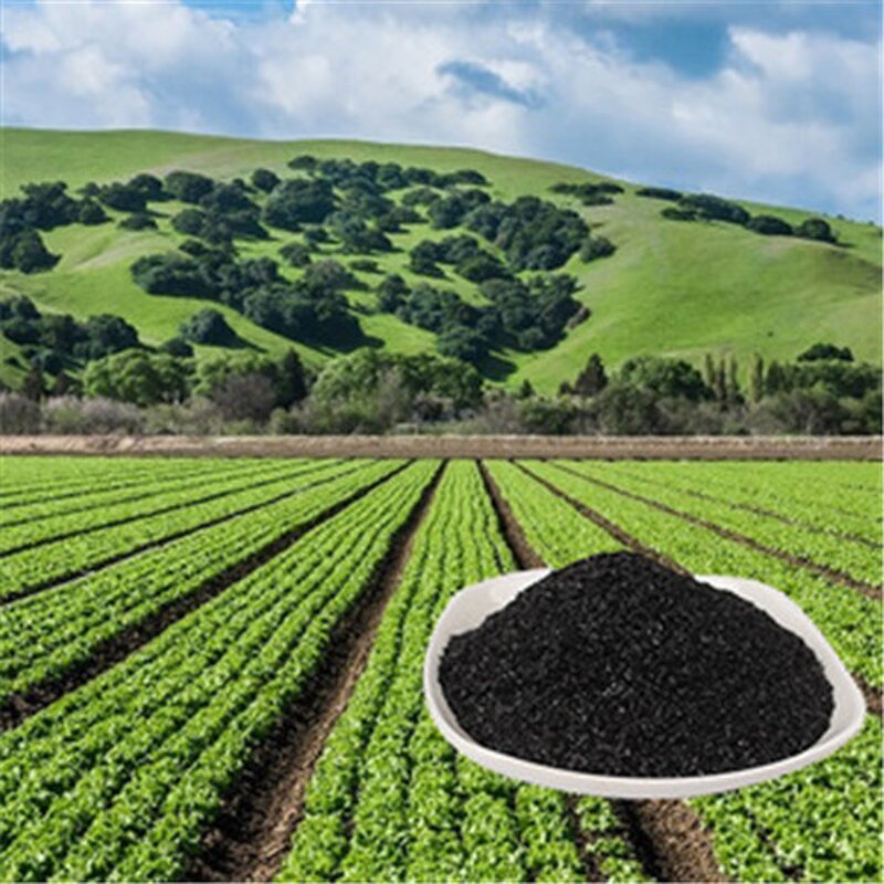 NPK Fertilizer Manufacturer - 10-50-6 + TE Water Soluble for Fruit Vegetable