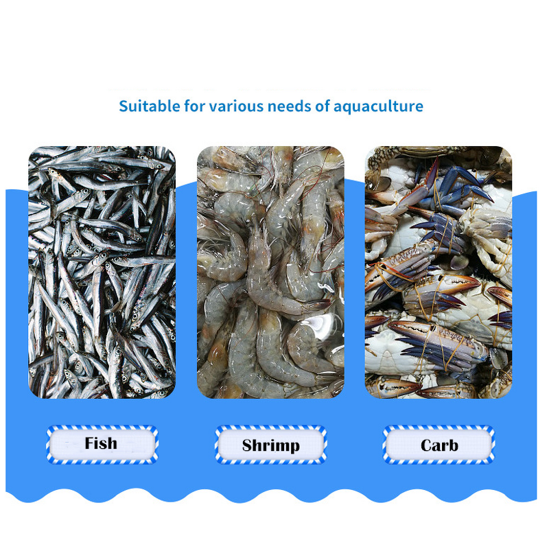 Bacillus Pumilus Manufacturer - 50 Billion for Aquaculture Sewage Treatment