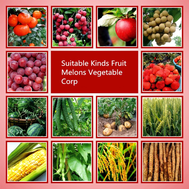 DA-6 Powder Factory - Diethyl Aminoethyl Hexanoate 98% TC Plant Regulator