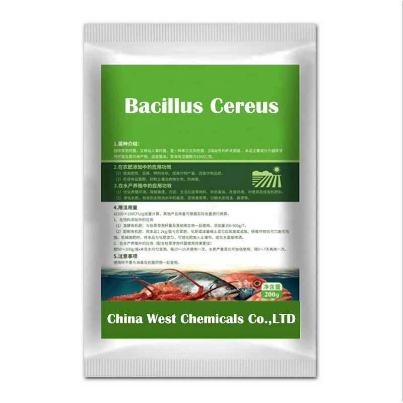 Aquaculture Probiotics Manufacturer - Bacillus Cereus 20 Billion CFU/G Feed Additive