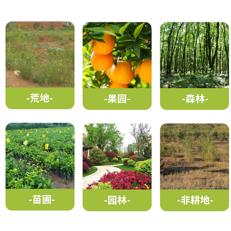 Etoxazole Manufacturer - 97% TC 110g/L SC 20% WDG CAS 153233-91-1