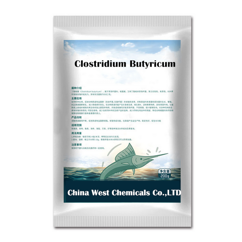 Clostridium Butyricum Manufacturer - for Aquaculture Water Quality Improvement