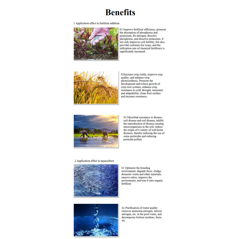 Aquaculture Probiotics Manufacturer - Bacillus Cereus 20 Billion CFU/G Feed Additive