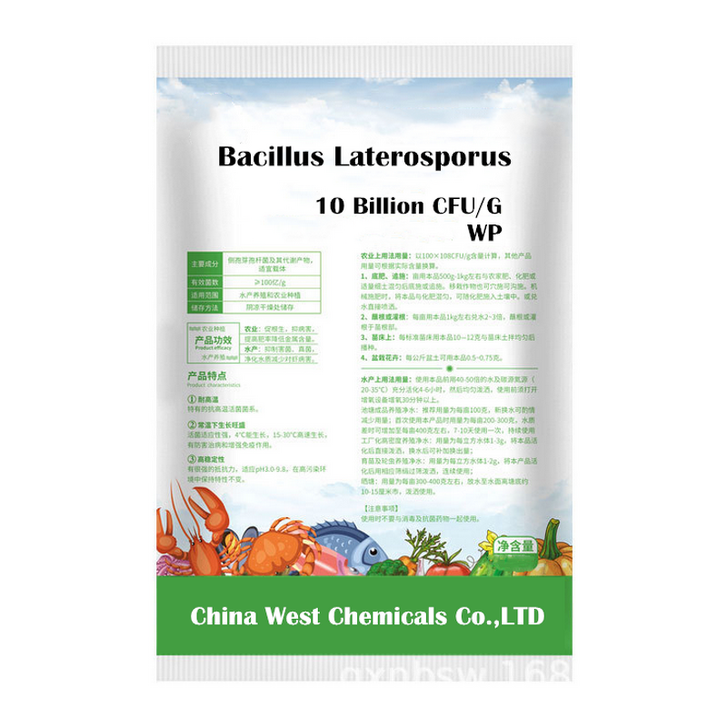 Bacillus Laterosporus Manufacturer - 10 Billion for Soil Quality & Plant Root