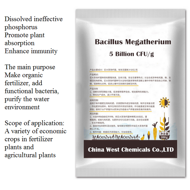 Bacillus Megaterium Manufacturer - Additive to Improve Soil Quality