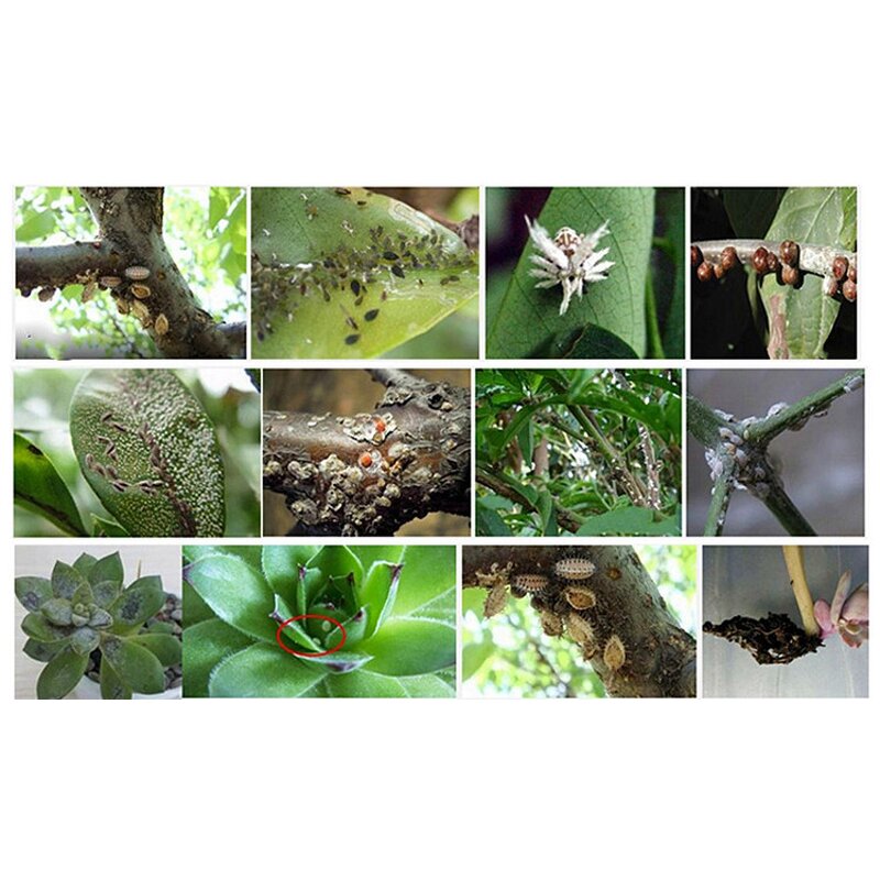 Buprofezin Factory - 98% TC Technical Powder Pesticide CAS 69327-76-0