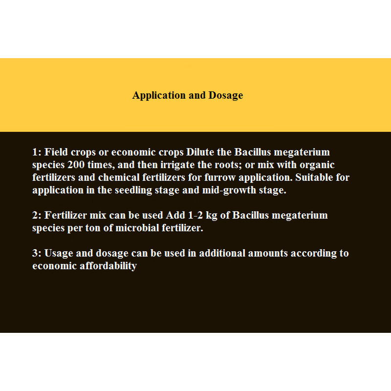 Bacillus Megaterium Manufacturer - Additive to Improve Soil Quality