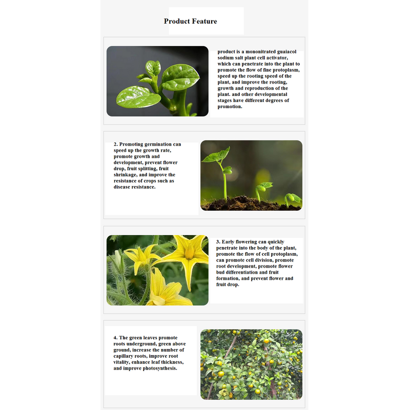 Sodium Nitrophenolate Manufacturer - Atonik 98% TC Plant Growth Regulator